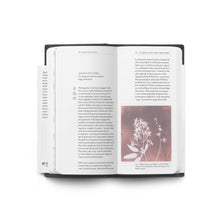 Load image into Gallery viewer, FIELD GUIDE TO BUGS & METAMORPHOSIS: GLITCHING PHOTOGRAPHY