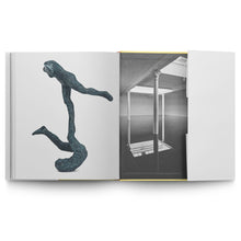 Load image into Gallery viewer, FREDRIK WRETMAN: LOOKING FOR ALICE FINE