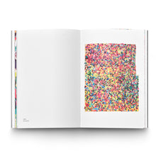 Load image into Gallery viewer, HANS ANDERSSON