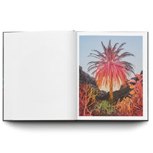 Load image into Gallery viewer, INKA & NICLAS: EXTENSIONS