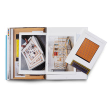 Load image into Gallery viewer, MATTS LEIDERSTAM: SEEN THROUGH THE GRID