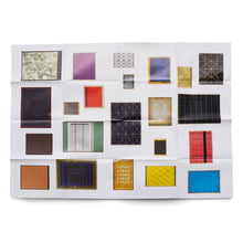 Load image into Gallery viewer, MATTS LEIDERSTAM: SEEN THROUGH THE GRID