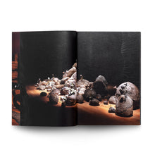 Load image into Gallery viewer, NATHALIE DJURBERG & HANS BERG: ONLY FOR THE WICKED