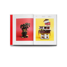 Load image into Gallery viewer, ANNA KLEBERG THAM: 99-19 A RETROSPECTIVE