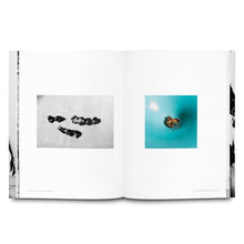 Load image into Gallery viewer, ANNIKA VON HAUSSWOLFF: GRAND THEORY HOTEL