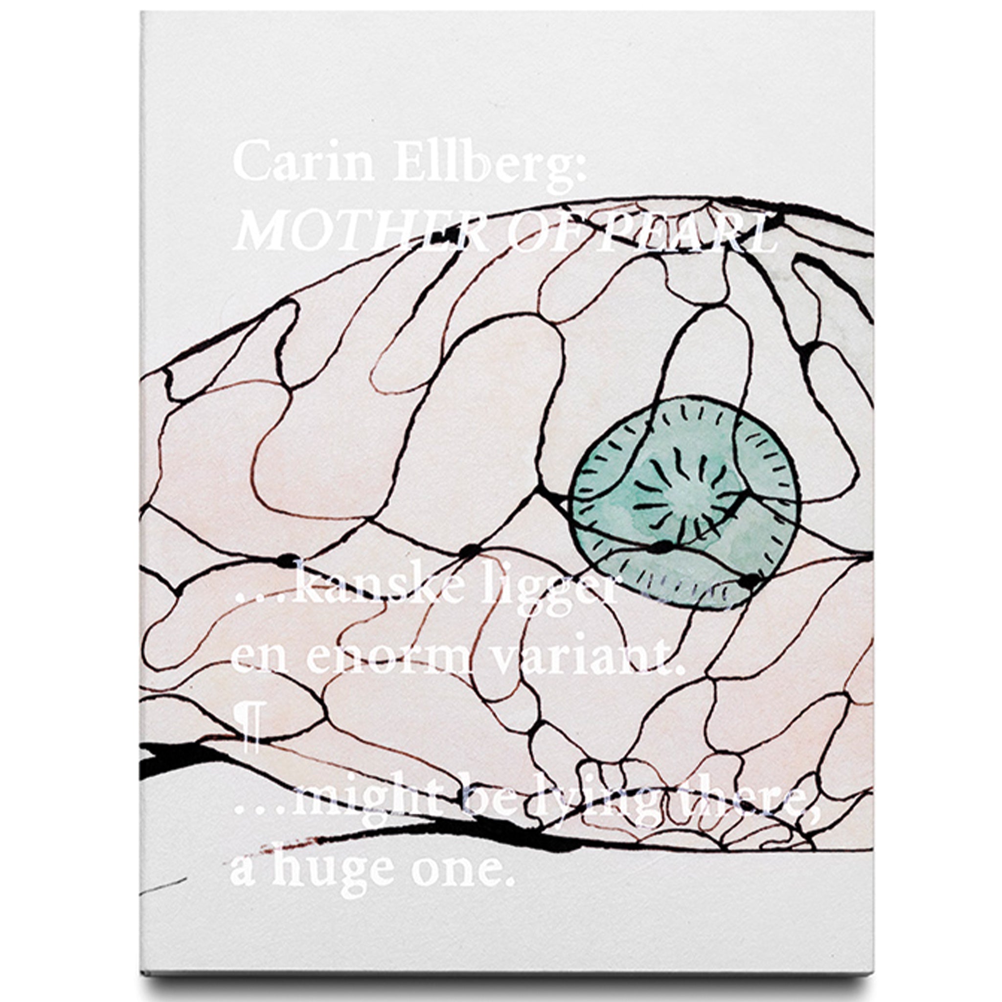 Carin Ellberg　Mother Of Pearl CARIN ELLBERG: MOTHER OF PEARL – Art & Theory Publishing