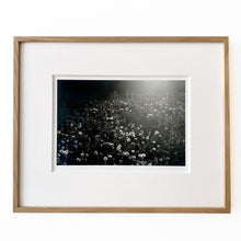 Load image into Gallery viewer, CECILIA EDEFALK, SPECIAL EDITION