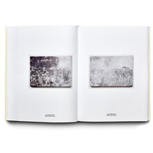 Load image into Gallery viewer, CECILIA EDEFALK: MASKROS / DANDELION