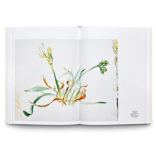 Load image into Gallery viewer, CECILIA EDEFALK: MASKROS / DANDELION