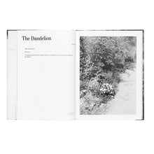 Load image into Gallery viewer, CECILIA EDEFALK: PHOTOGRAPHY 227 MONTHS/FOTOGRAFI 227 MÅNADER