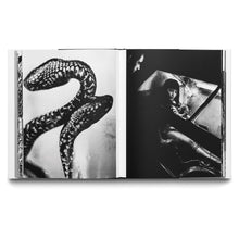 Load image into Gallery viewer, CHRISTER STRÖMHOLM: POSTE RESTANTE