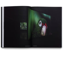 Load image into Gallery viewer, COSMOLOGICAL ARROWS / KOSMOLOGISKA PILAR