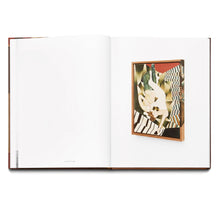 Load image into Gallery viewer, JENS FÄNGE: DRÖMMARNA