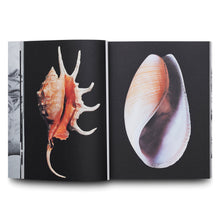 Load image into Gallery viewer, LOTTA ANTONSSON: I AM A WOMAN