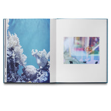 Load image into Gallery viewer, LOUISE ENHÖRNING: AGAPE