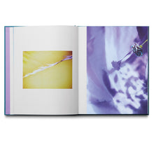 Load image into Gallery viewer, LOUISE ENHÖRNING: AGAPE