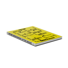 Load image into Gallery viewer, PETER GESCHWIND: AFTER IMAGE