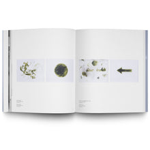 Load image into Gallery viewer, PETER HAGDAHL: ENERGY, LIQUIDS, CONNECTIONS (SUSTAINED)