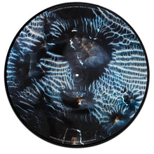 Load image into Gallery viewer, SUSAN PHILIPSZ: LOST IN SPACE, VINYL, SPECIAL EDITION