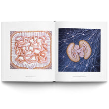 Load image into Gallery viewer, ULLA WIGGEN