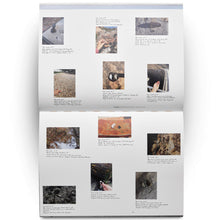 Load image into Gallery viewer, ULRIKA SPARRE: EAR TO THE GROUND