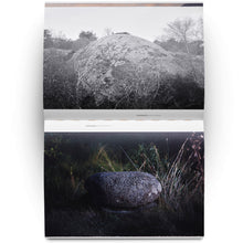 Load image into Gallery viewer, ULRIKA SPARRE: EAR TO THE GROUND