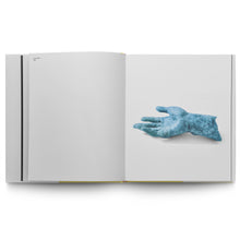 Load image into Gallery viewer, FREDRIK WRETMAN: LOOKING FOR ALICE FINE
