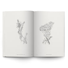 Load image into Gallery viewer, LERIN &amp; HYSTAD: ELECTRONIC FLORA
