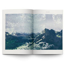 Load image into Gallery viewer, LERIN &amp; HYSTAD: ELECTRONIC FLORA
