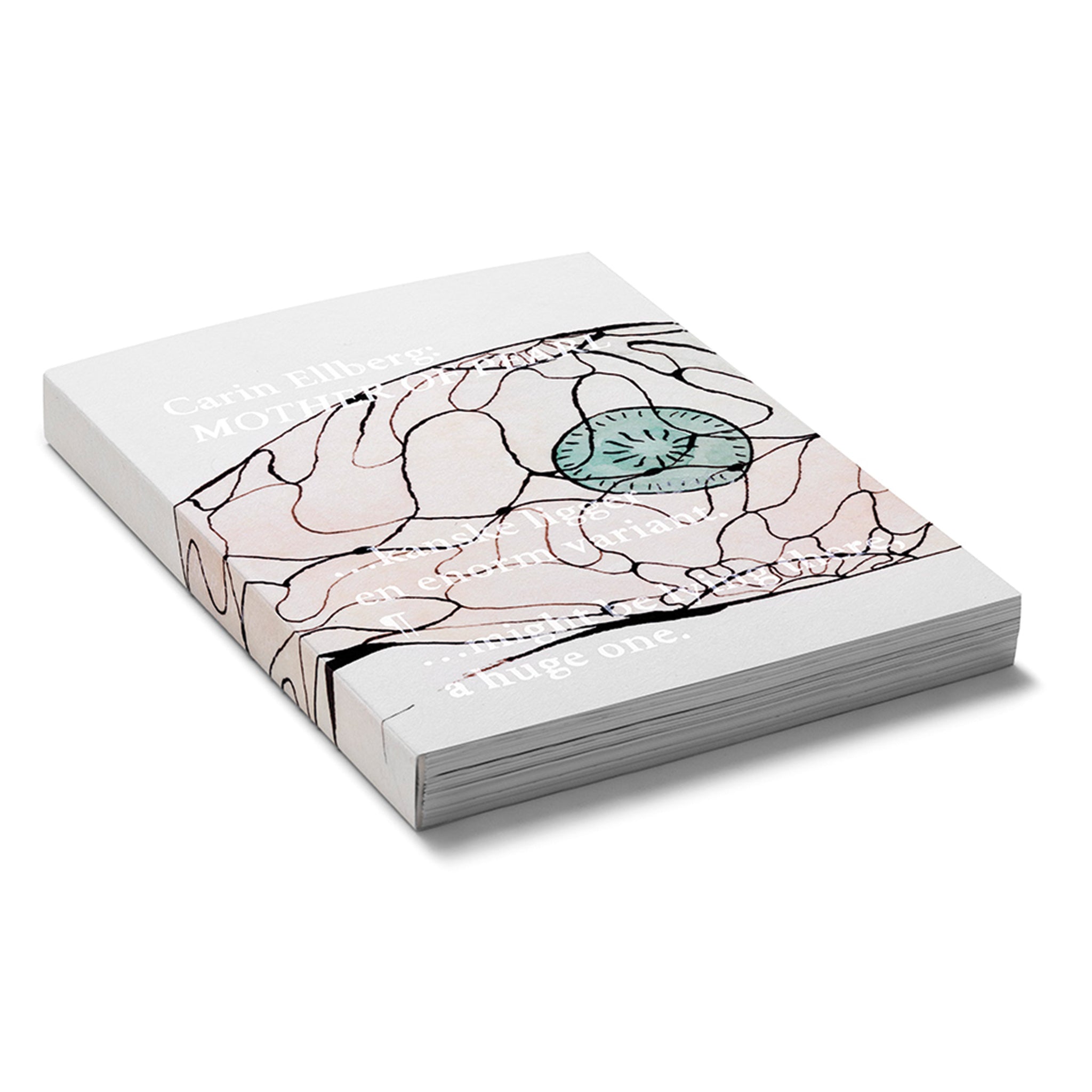 Carin Ellberg　Mother Of Pearl CARIN ELLBERG: MOTHER OF PEARL – Art & Theory Publishing